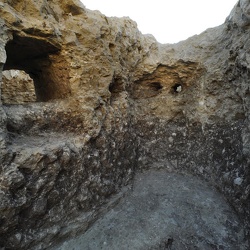 LISEA-COSEA